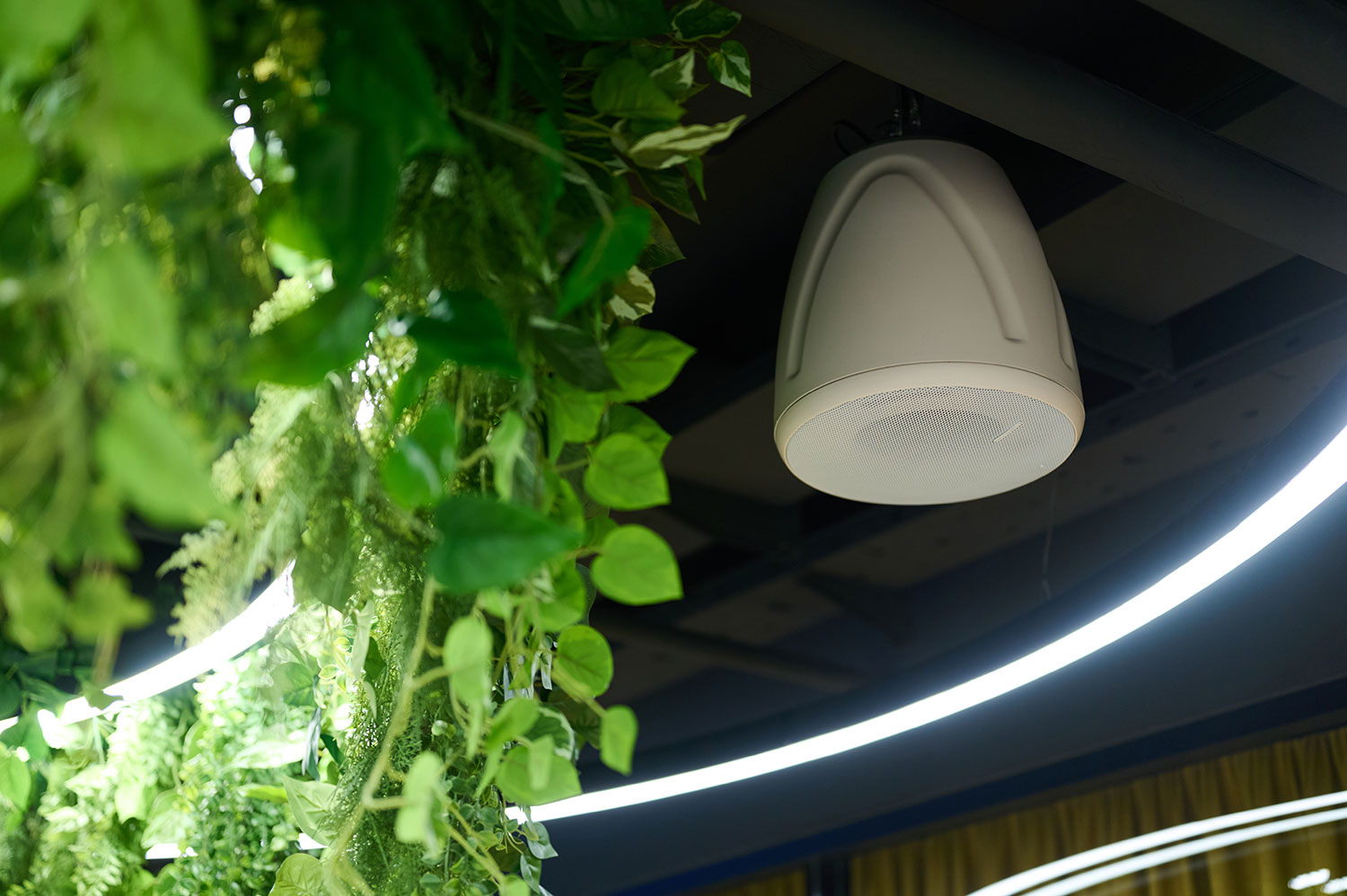 Cafeteria Audio Systems