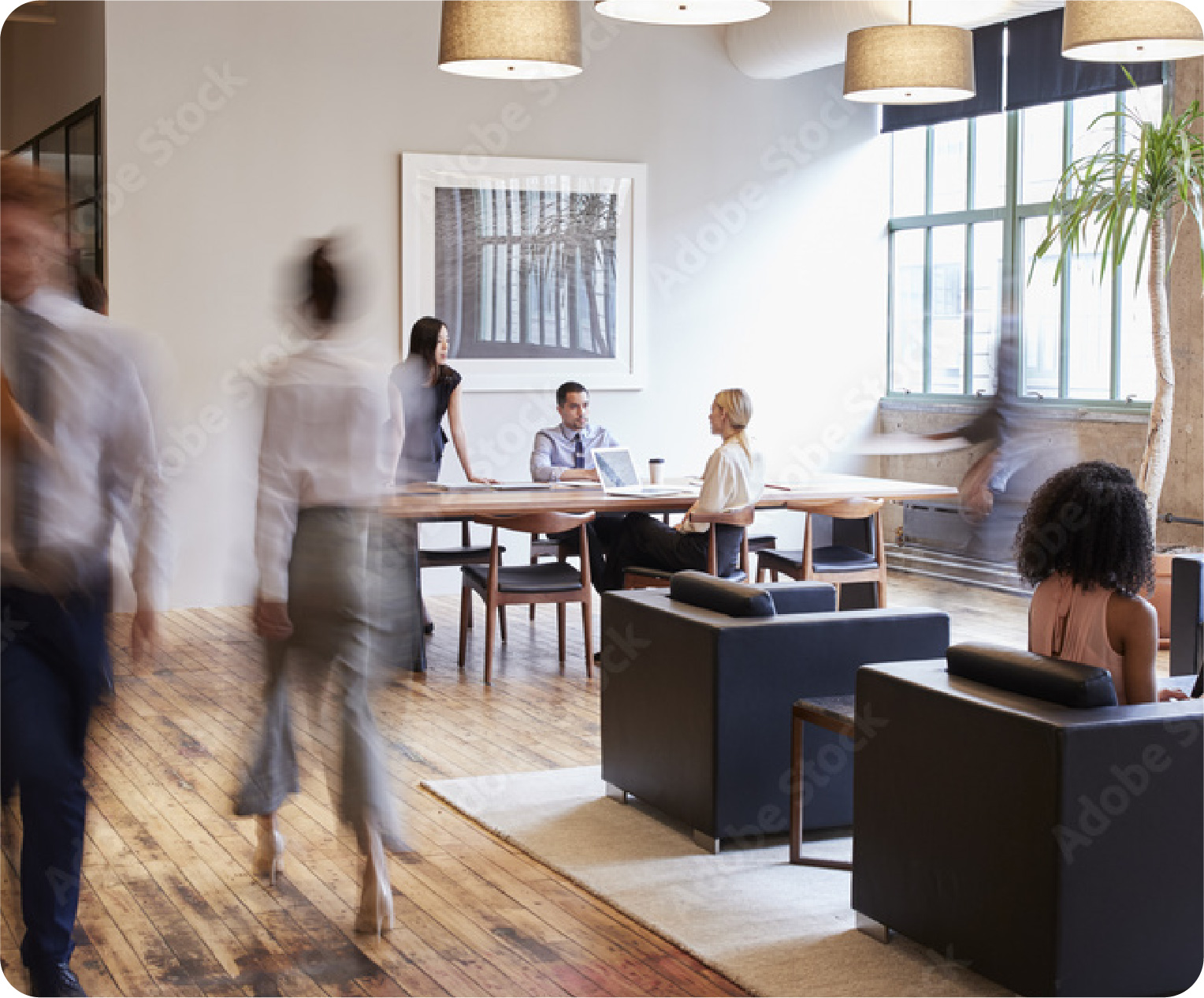 Conference Room AV Systems